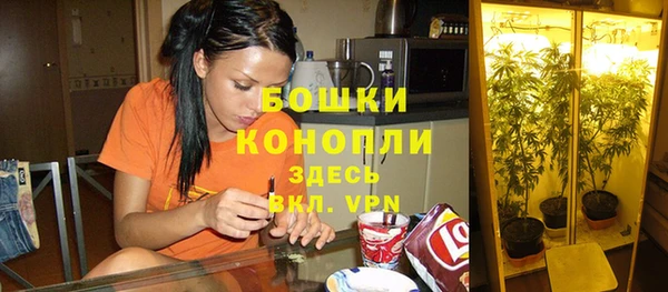 молекула духа Балабаново